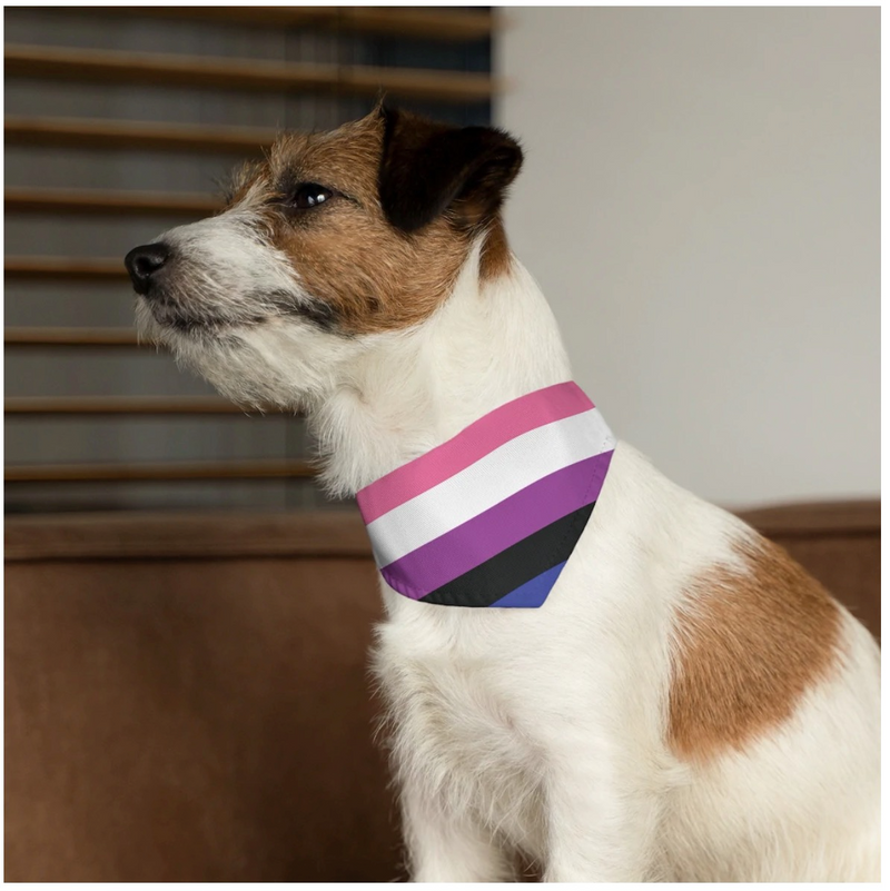 LGBTQ+ Genderfluid Pet Collar