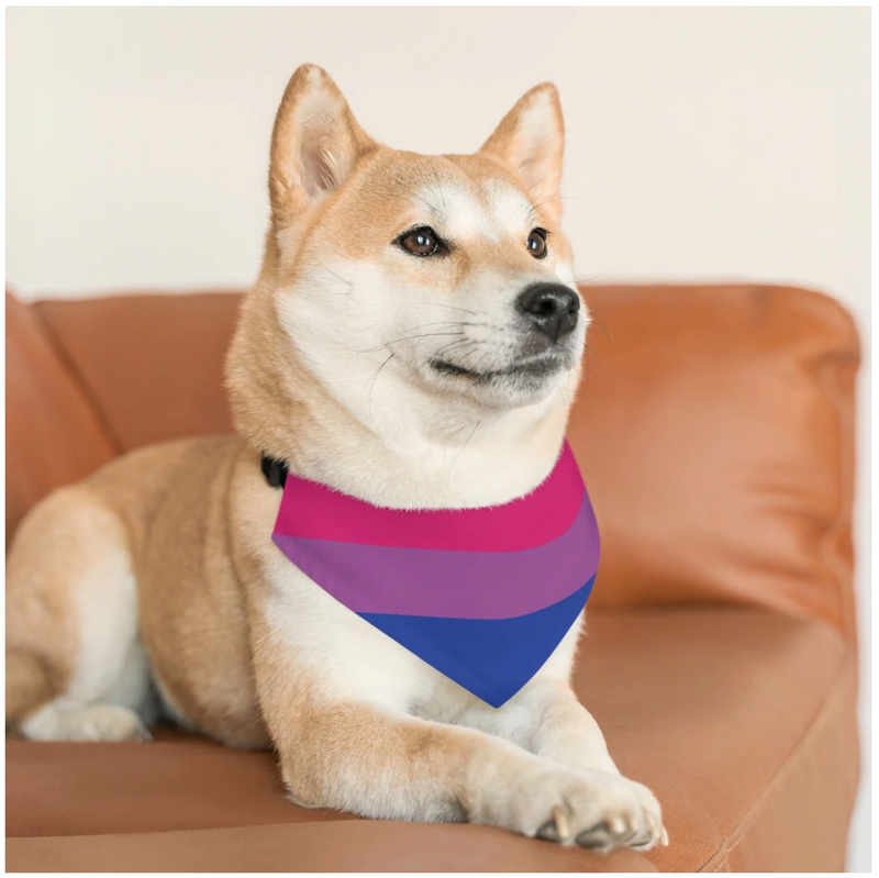 LGBTQ+ Bisexual Pet Collar