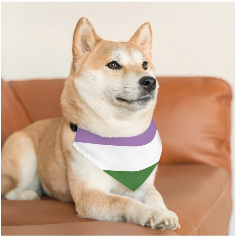 LGBTQ+ Genderqueer Pet Collar