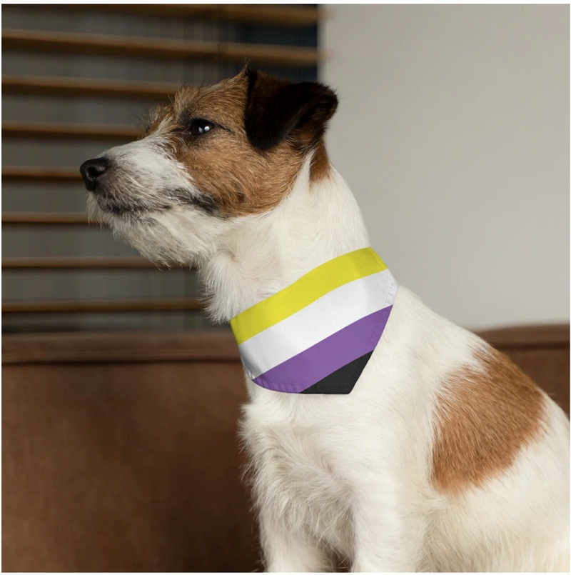 LGBTQ+ Nonbinary Pet Collar