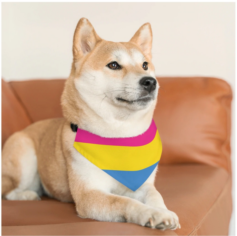 LGBTQ+ Pansexual Pet Collar
