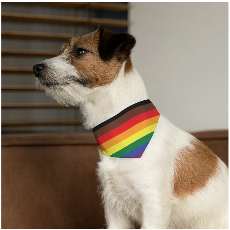 LGBTQ+ Rainbow Pet Collar
