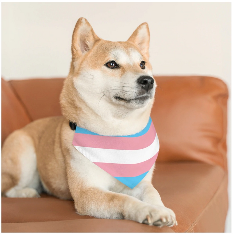 LGBTQ+ Transgender Pet Collar